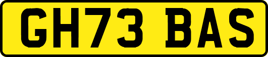 GH73BAS