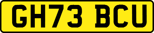 GH73BCU