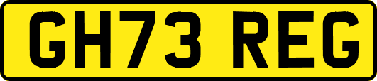 GH73REG