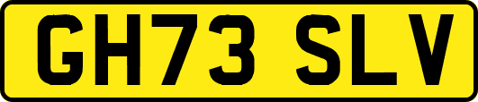 GH73SLV