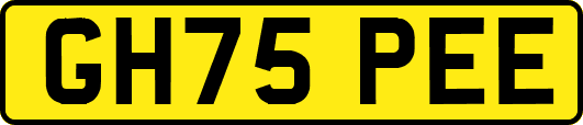 GH75PEE
