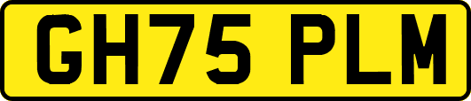 GH75PLM