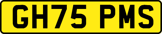 GH75PMS