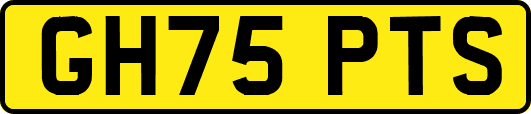 GH75PTS