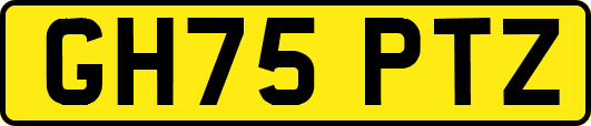 GH75PTZ