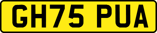 GH75PUA