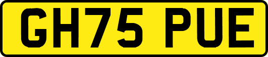GH75PUE