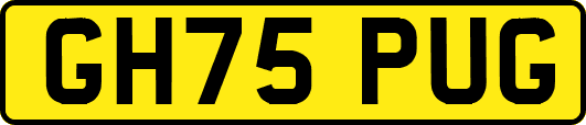 GH75PUG