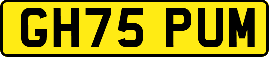 GH75PUM