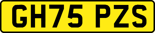 GH75PZS