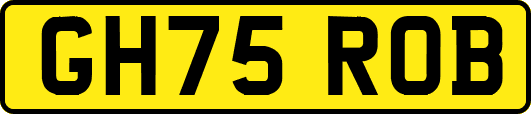GH75ROB