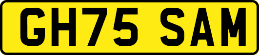 GH75SAM