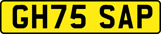 GH75SAP