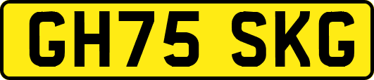 GH75SKG
