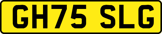 GH75SLG