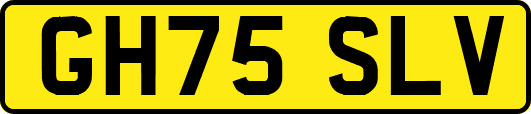 GH75SLV