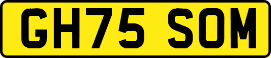 GH75SOM