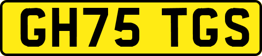 GH75TGS