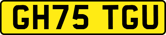 GH75TGU