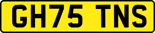 GH75TNS