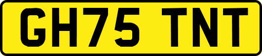 GH75TNT