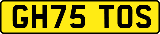 GH75TOS