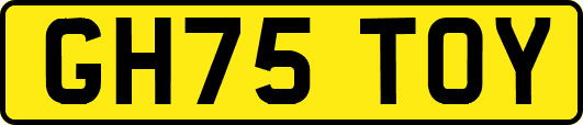 GH75TOY