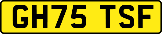 GH75TSF