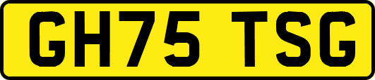 GH75TSG