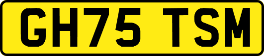 GH75TSM
