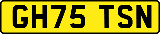 GH75TSN