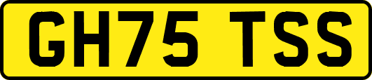 GH75TSS