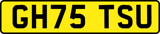 GH75TSU