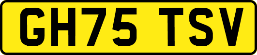 GH75TSV
