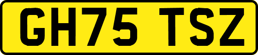 GH75TSZ