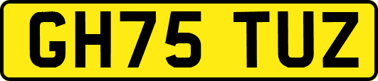 GH75TUZ