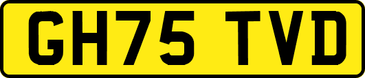 GH75TVD