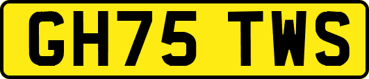GH75TWS