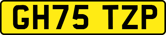 GH75TZP