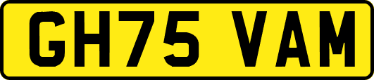 GH75VAM
