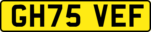 GH75VEF