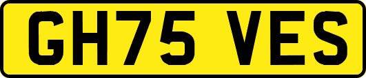 GH75VES