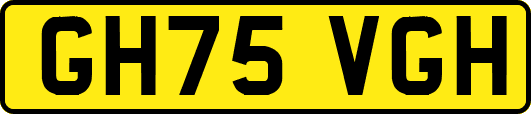 GH75VGH