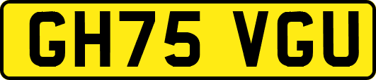 GH75VGU