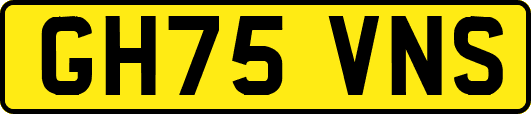 GH75VNS