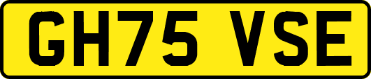 GH75VSE
