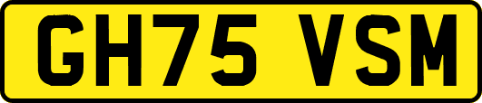 GH75VSM