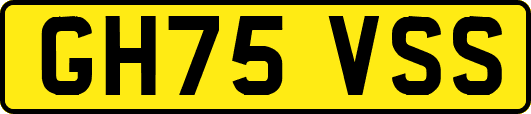 GH75VSS