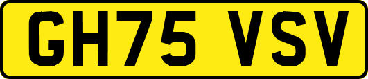 GH75VSV
