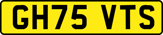 GH75VTS